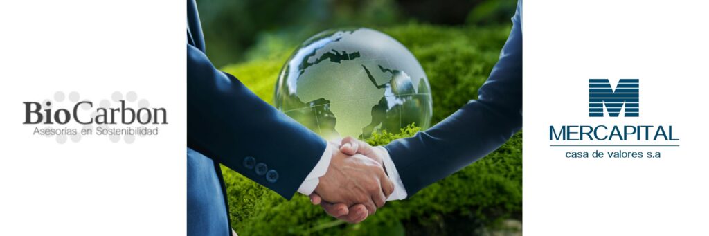 mercapital biocarbon