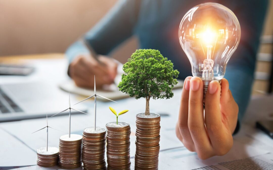 Mercapital + BioCarbon : Alianza estratégica para impulsar las finanzas sostenibles en Ecuador